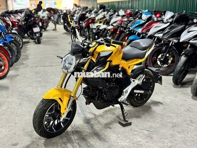 XE MÁYTHANH TÙNG_AGUSTA 110 VÀNG ĐEN CÔN TAY MINI