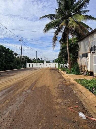 Chính chủ cần lô đất mặt tiền (6x49) thổ cư 60m2