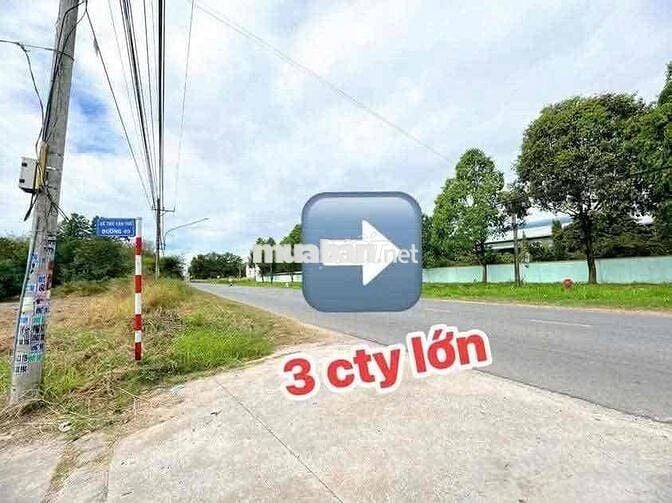 BÁN ĐẤT SỔ HỒNG RIÊNG- BÀU BÀNG