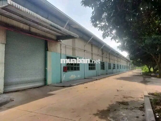 cho thuê kho xưởng đường 830 xã mỹ yên , huyên bến lức