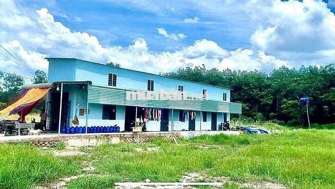 BÁN ĐẤT SỔ HỒNG RIÊNG- BÀU BÀNG