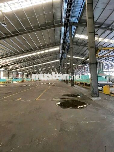 cho thuê kho xưởng đường 830 xã mỹ yên , huyên bến lức