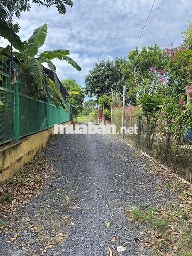 Cần bán 11.000m2 đất nhà ven sông hẻm 1991 Xã Hiệp Phước, Nhà Bè.