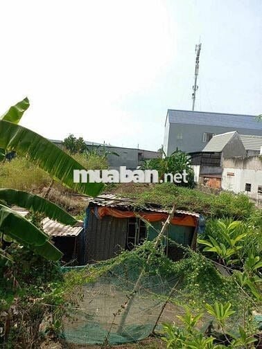 Chính chủ cần bán lô đất tân kim cần giuộc 100m2 SHR giá 555 triệu