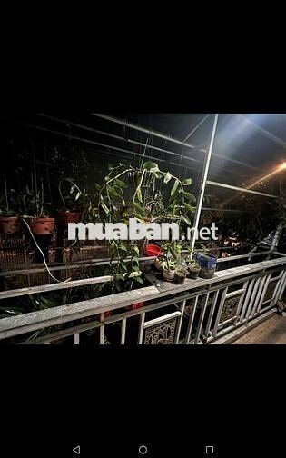 NHÀ MẶT TIỀN NGUYỄN HỮU THỌ 43M2 2PN 2WC CÓ NỘI THẤT TIỆN Ở KINH DOANH