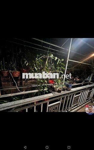 NHÀ MĂT TIỀN NGUYỄN HỮU THỌ 44M2 2PN 2WC TIỆN Ở BUÔN BÁN CÓ SẴN NT
