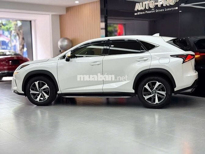 Lexus NX300 2017 - Xe 1 Chủ Từ Đầu