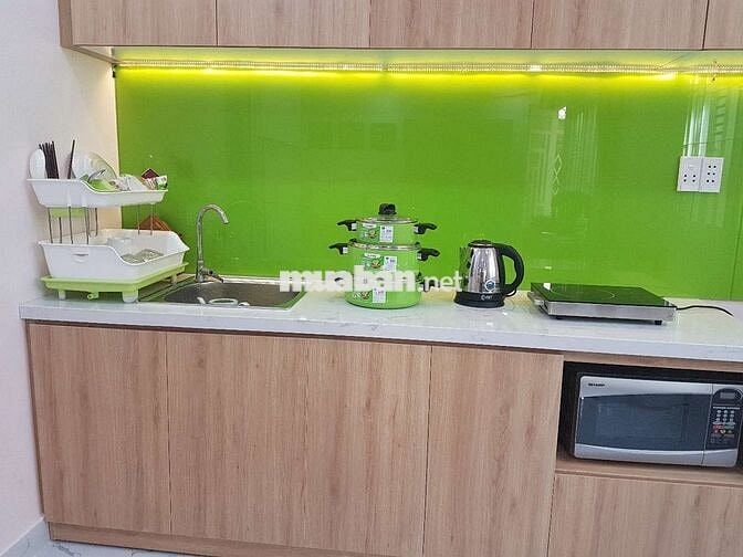 Cho thuê căn hộ chung cư mini (1 lầu)