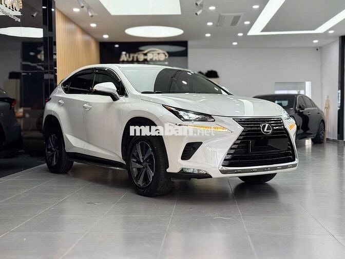 Lexus NX300 2017 - Xe 1 Chủ Từ Đầu