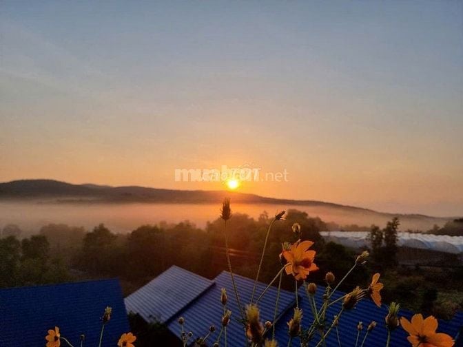 Resort 2,100m2 đất 3MT, View sân bay Phú Quốc và View biển, P Quốc