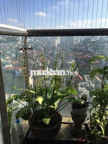 ☘️TRÀNG AN COMPLEX - CHUNG CƯ MẶT PHỐ, TT CẦU GIẤY- VIEW ĐẸP TẦNG ĐẸP