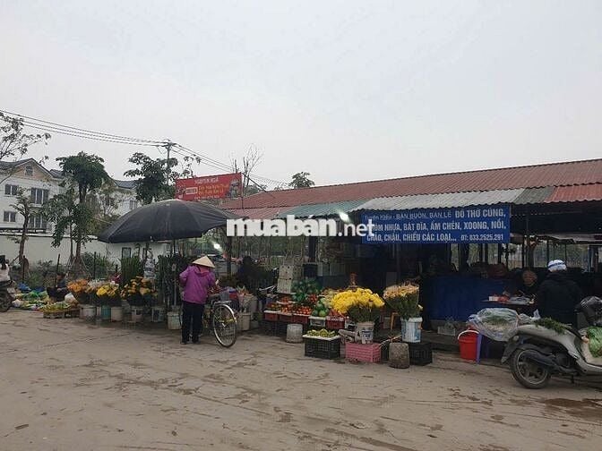 ĐẤT ĐÔNG ANH- SÁT TRUNG TÂM TRIỂN LÃM QUỐC GIA- DIỆN TÍCH ĐẸP- GIÁ MỀM