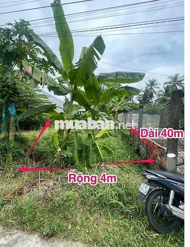 Bán nền mặt tiền đường DX01 hữu định châu thành bến tre