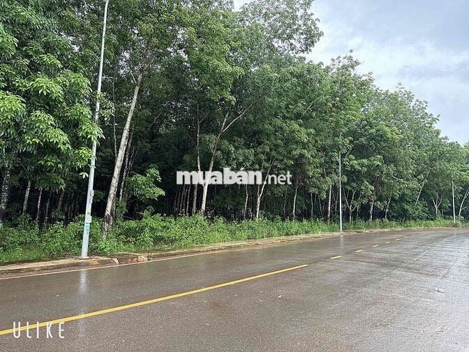 Mặt tiền 45m Huỳnh Văn Bánh, Chơn Thành, Tây Ninh
