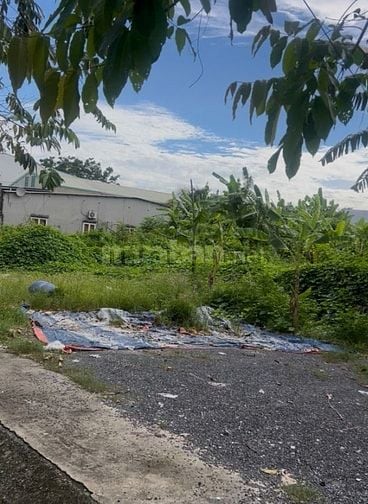 bán lô đất đường ĐT 5 đông thạnh hóc môn tphcm 