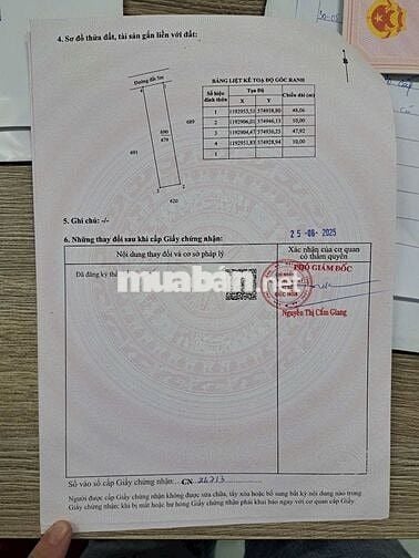 CHÍNH CHỦ CẦN BÁN 7 LÔ ĐẤT LIỀN KỀ 100% THỔ CƯ 10X48M