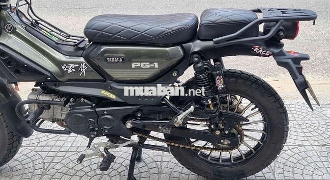 🍎Yamaha PG-01 Mẫu mới 2024
