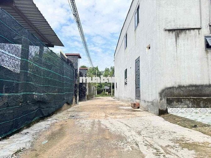 Đất Đức Hoà Thượng 7,8x30m giá 1ty1