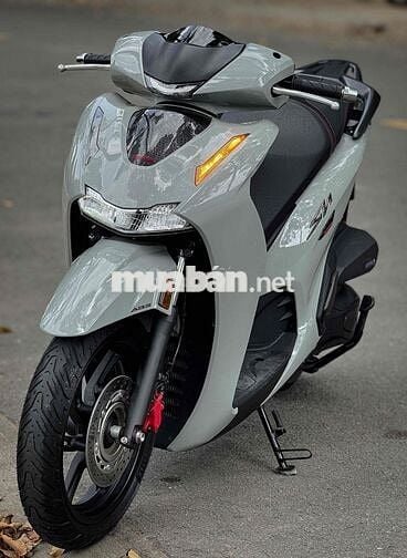 Sh 350 From mới 2025 Xám Xi Măng like new