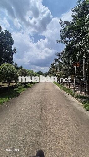 Cần thanh lý lô đất khu công nghiệp Bàu Bàng giá rẻ