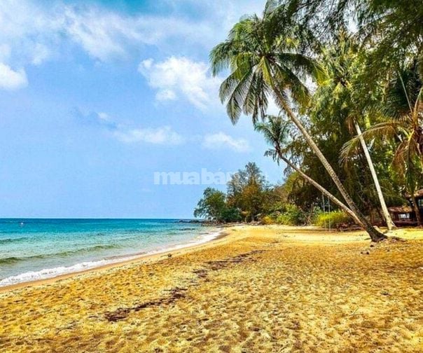 CẦN BÁN NHÀ MẶT TIỀN ĐƯỜNG MẠC CỬU ĐẶC KHU PHÚ QUỐC 39tỉ