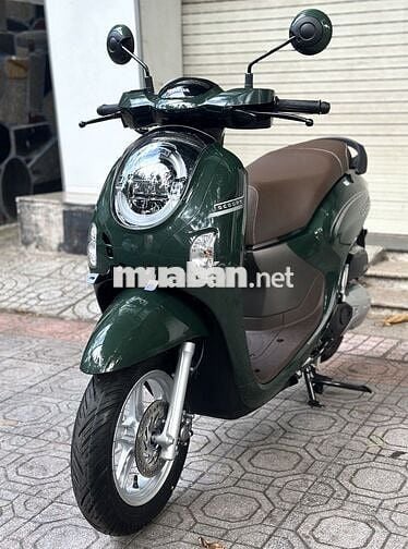 Scoopy 2025