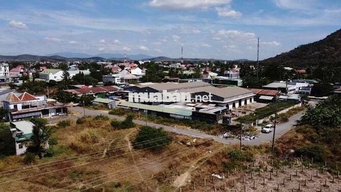 🌊  KHU ĐẤT 11ha – HÀM THUẬN NAM, BÌNH THUẬN

💎