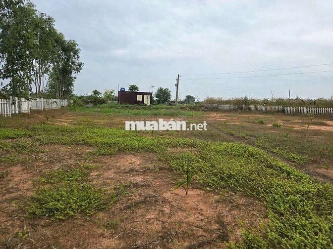 THUẬN QUÝ, HÀM THUẬN NAM, BÌNH THUẬN 🏖️