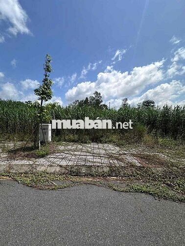 Nền G13 Đầu Đường Số 6 Giá 1,490 Tỷ