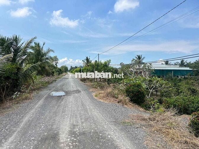 500m2 giá : 370 triệu , tân thành - thủ thừa , LONG AN giá tốt