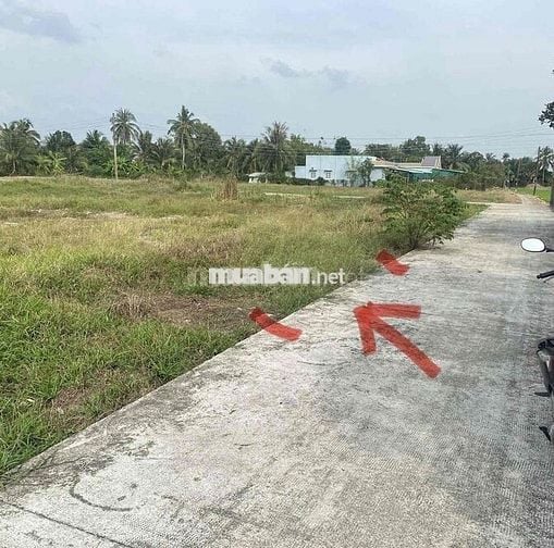 BÁN ĐẤT THỔ CƯ ÁP BÀ PHỔ XÃ BÌNH THẠNH, THỦ THỪA, LONG AN (TÂY NINH)