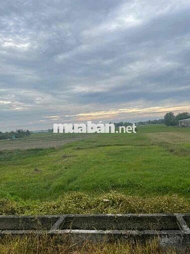 🏡 BÁN ĐẤT MẶT TIỀN ĐƯỜNG 669 – GẦN QUỐC LỘ 22