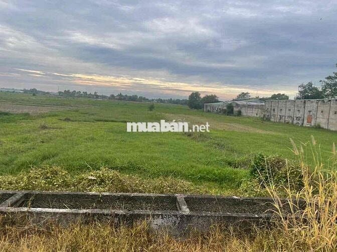 🏡 BÁN ĐẤT MẶT TIỀN ĐƯỜNG 669 – GẦN QUỐC LỘ 22