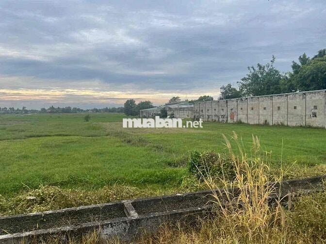 🏡 BÁN ĐẤT MẶT TIỀN ĐƯỜNG 669 – GẦN QUỐC LỘ 22