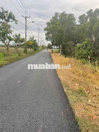 🏡 BÁN ĐẤT MẶT TIỀN ĐƯỜNG 669 – GẦN QUỐC LỘ 22
