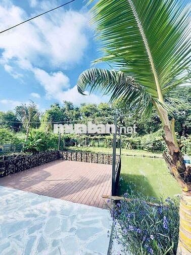 BÁN NHÀ VƯỜN VIEW ĐẸP – PHƯỜNG BUÔN HỒ – NGHỈ DƯỠNG/ HOMESTAY