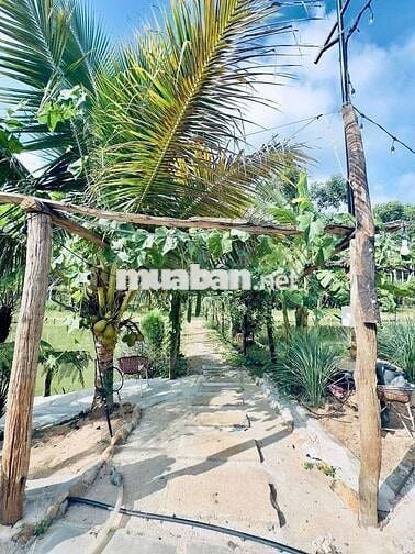 BÁN NHÀ VƯỜN VIEW ĐẸP – PHƯỜNG BUÔN HỒ – NGHỈ DƯỠNG/ HOMESTAY