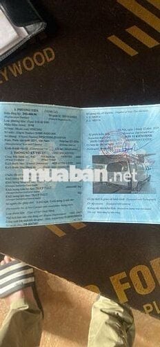 Xe Van, 2006,Màu vàng,Tình trạng xe tốt