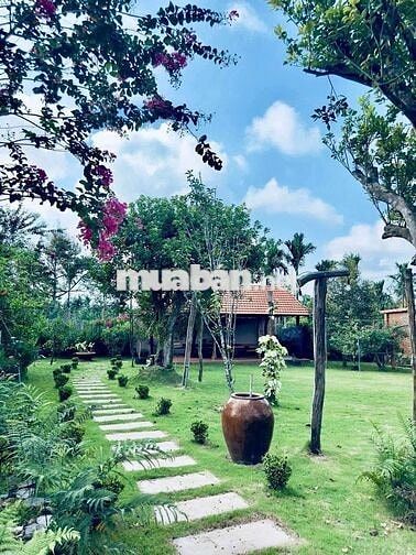 BÁN NHÀ VƯỜN VIEW ĐẸP – PHƯỜNG BUÔN HỒ – NGHỈ DƯỠNG/ HOMESTAY