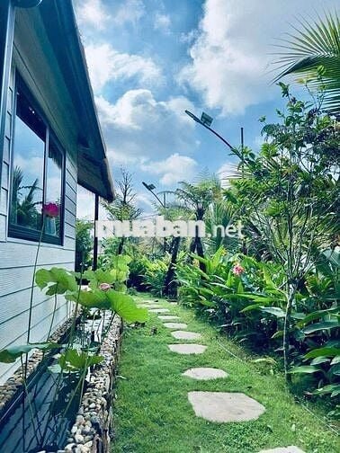 BÁN NHÀ VƯỜN VIEW ĐẸP – PHƯỜNG BUÔN HỒ – NGHỈ DƯỠNG/ HOMESTAY