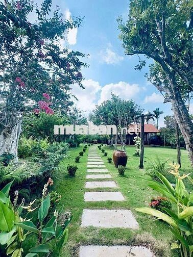 BÁN NHÀ VƯỜN VIEW ĐẸP – PHƯỜNG BUÔN HỒ – NGHỈ DƯỠNG/ HOMESTAY