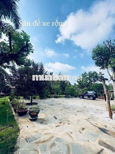 BÁN NHÀ VƯỜN VIEW ĐẸP – PHƯỜNG BUÔN HỒ – NGHỈ DƯỠNG/ HOMESTAY