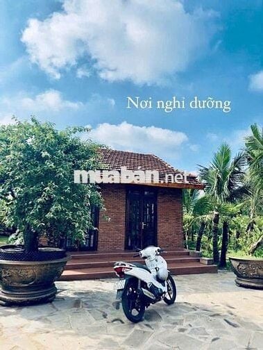 BÁN NHÀ VƯỜN VIEW ĐẸP – PHƯỜNG BUÔN HỒ – NGHỈ DƯỠNG/ HOMESTAY
