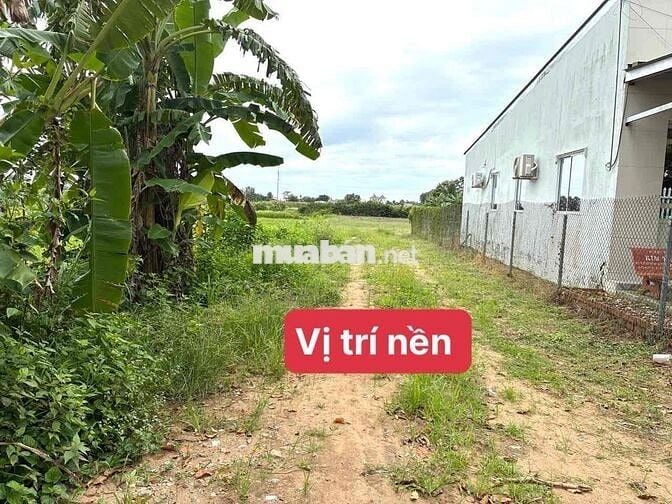 BÁN NỀN BIỆT THỰ GẦN ĐƯỜNG D1, LONG PHƯỚC, LONG HỒ, VĨNH LONG