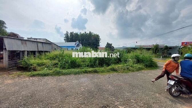 CHỦ MUA 3TY5 NHƯNG NAY NGỘP CẦN BÁN 2TY5