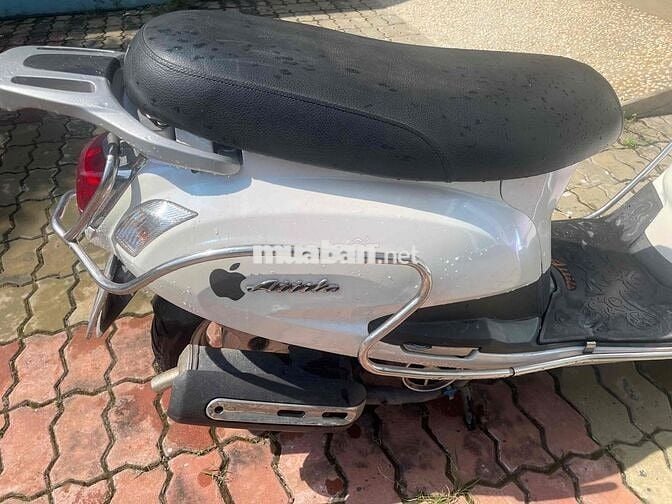 XE NGON GIÁ TỐT - 110CC 2013 - ATILA MỚI DÁN KEO