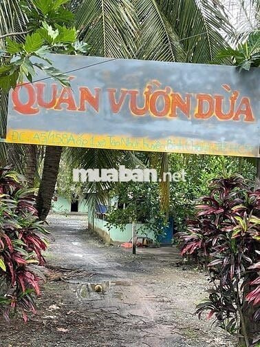 Bán đất vườn cây lâu năm, kênh 10, xã Tân Nhựt, TP. HCM