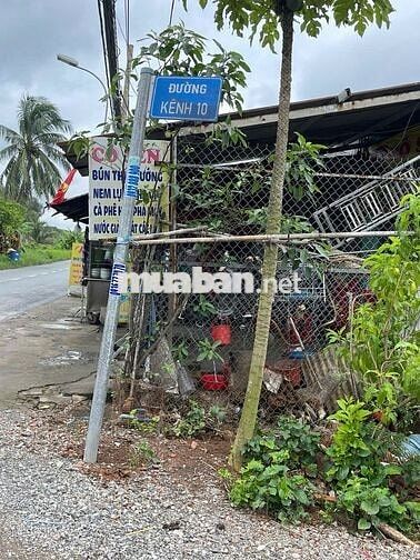 Bán đất vườn cây lâu năm, kênh 10, xã Tân Nhựt, TP. HCM