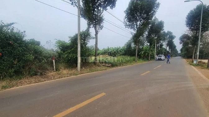 Công ty Đấu giá hợp danh Lam Sơn Sài Gòn THÔNG BÁO ĐẤU GIÁ TÀI SẢN