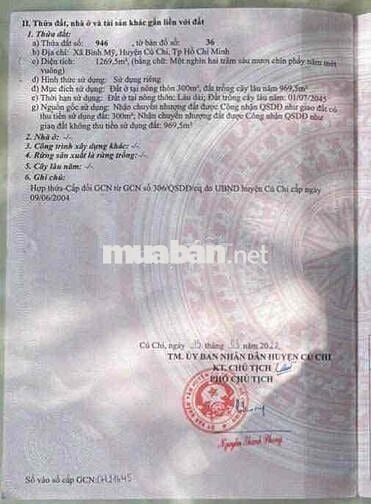 Bán đất Bình Mỹ củ chi thành phố Hồ Chí Minh mặt tiền kênh cây xanh